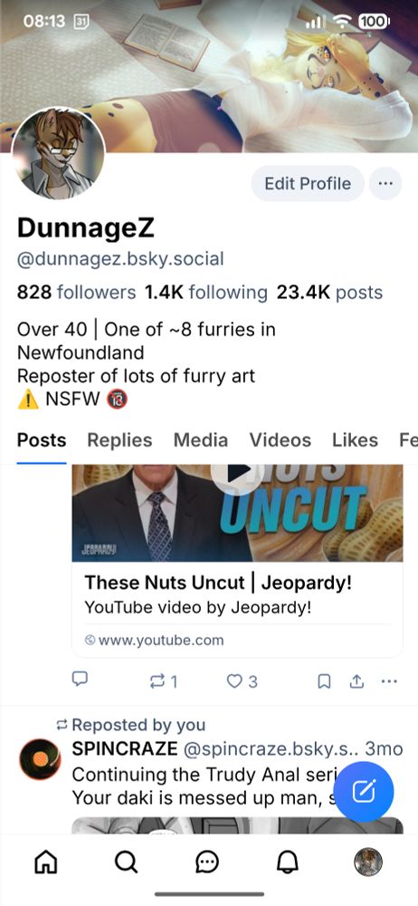 Screen shot showing thwt my profile and headings remains on screen as my posts are being scrolled.