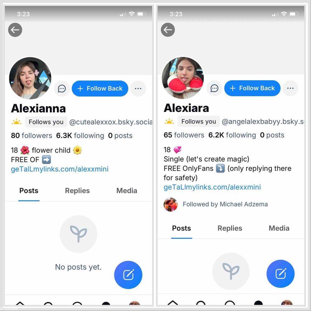 Two profiles that are the same but different 