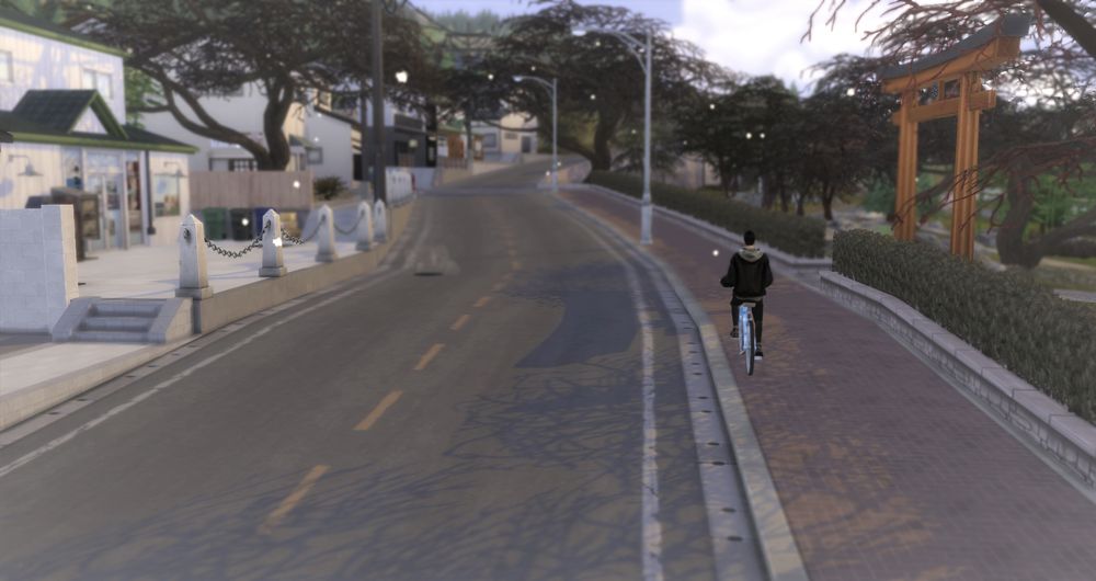 撮影スポットも沢山あるのじゃ。