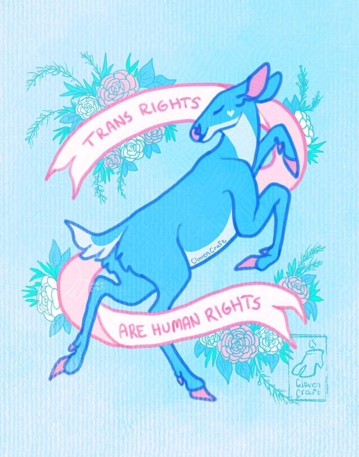 A blue doe with pink features holds a dance-like pose, surrounded by soft pastel flora and a long winding banner. They appear to be pleasantly at peace, complete with a heart marking on their cheek. The banner that wraps around them reads, "Trans Rights are Human Rights."