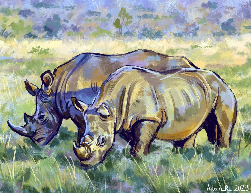 A stylised, vibrant nature study. A pair of (what I believe to be) White Rhinoceroses in a national park in South Africa. The brushowrk in this piece is fairly expressive and loose. The colour palette makes use of a variety of warm pastel hues (yellow, orange, lilac) contrasted against a dark and saturated purple which makes up the shadows/ outline of the two animals.