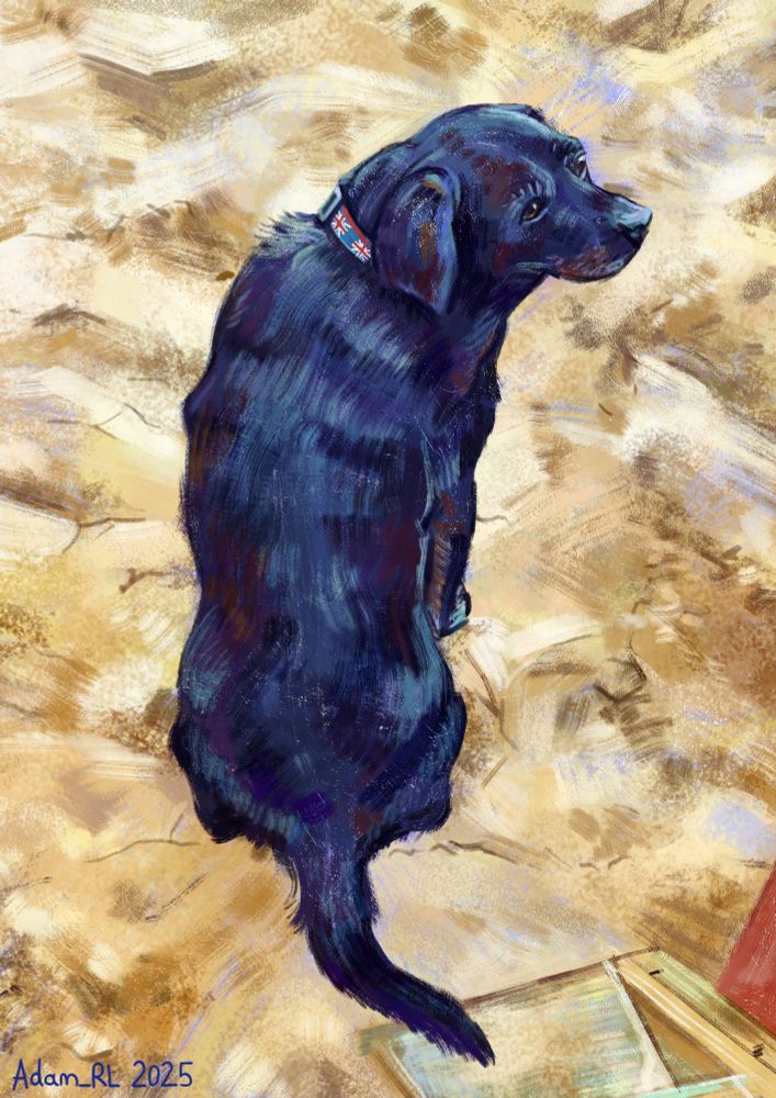 A vibrant and stylised digital painting of a black labrador sitting on sand. I used shades of dark purple, blue and burgundy to exaggerate the tones of her fur and very painterly/ textured brushes.