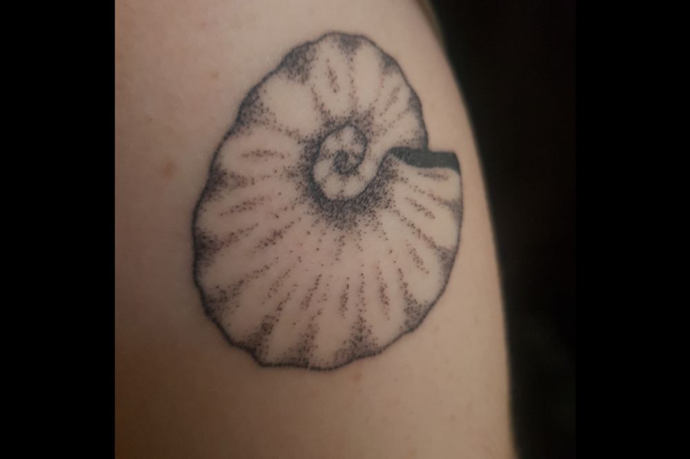 Macro photo of the ammonite tattoo. 