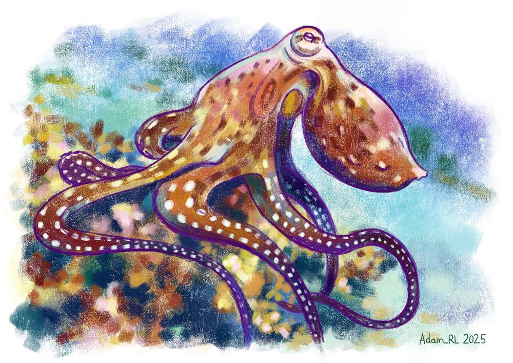 A vibrant tudy of a Common Octopus sitting/ walking across a coral colony/ reef. The bright red/pink of the octopus' head transitions to a dark orange with flecks of gold/ yellow and then eventually to a dark blueish purple at the ends of the extremities/ arms. Each arm is dotted with rows of regular white spots. The animal is outlined with a bold dark purple while the brushwork is loose, resembling oil pastels/ watercolour.