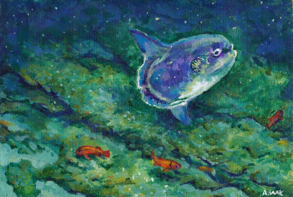 An acrylic painting of a medium-sized (not fully-grown) Ocean Sunfish (Mola mola) swimming (or drifting) close to a reef among a few other fishes (bright orange in colour) which it dwarfs in comparison. The blue tint of the ocean makes the beige colour of the oddly-shaped Sunfish appear almost purple, with a yellowish-white underside. The edge of the rocky reef appears green in colour with hints of yellow. It fades into a deep, dark blue at the top of the painting, where it is further away from the viewer. Particles of snow-like ocean detritus can be seen in the foreground.