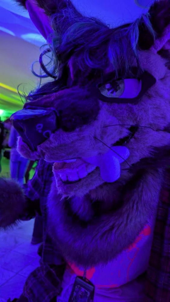 Hyena fursuit with a green wig on upclose to the camera with a bone in its mouth