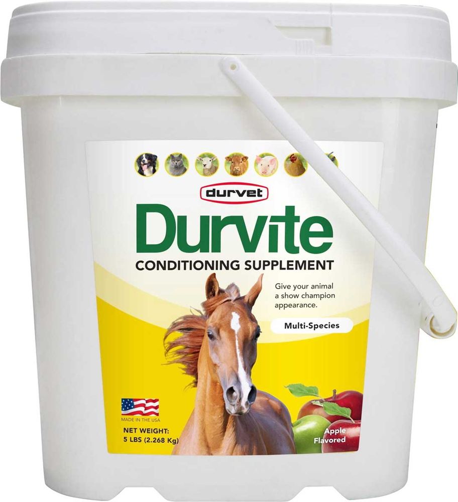 An image of a 5lb bucket of Durvite Conditioning Supplement, multi-species, apple-flavored. There's a horse on the cover with a beautiful flowing mane. She's fuckin' peacocking it.