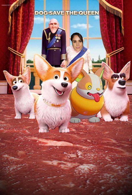 Animated corgis on a floor of meat