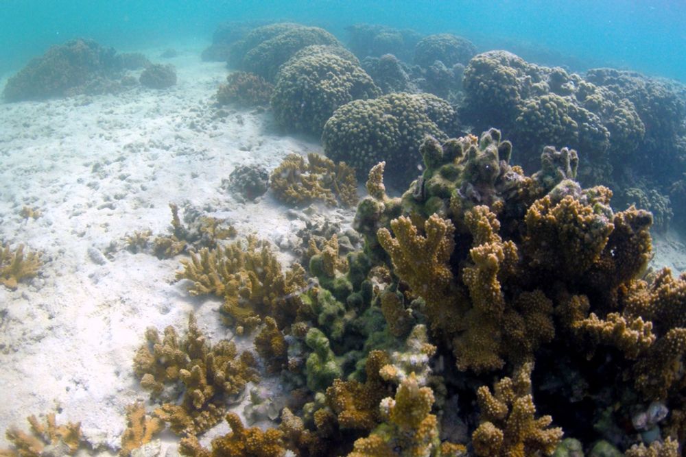Honolulu is suing major fossil fuel companies, including ExxonMobil, Shell, and Chevron, over climate change impacts