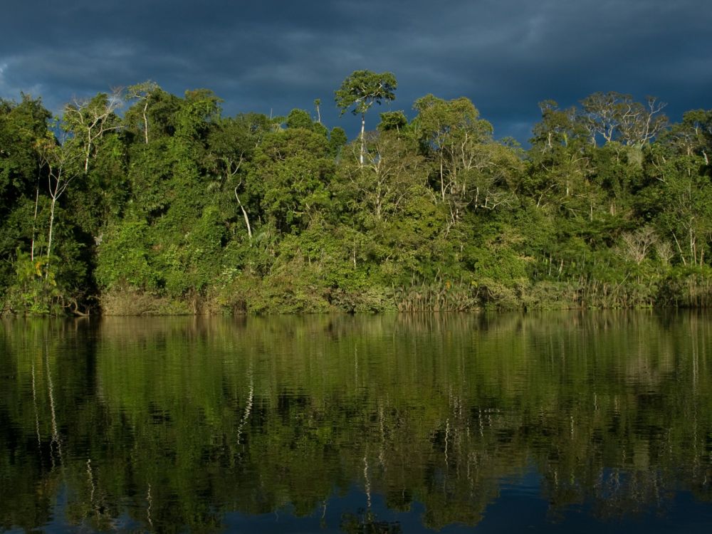 Rainforest Reckoning: Almost a Year After the Historic Yasuní Vote, Ecuador Has Done Very Little to Decommission Drilling | Amazon Watch