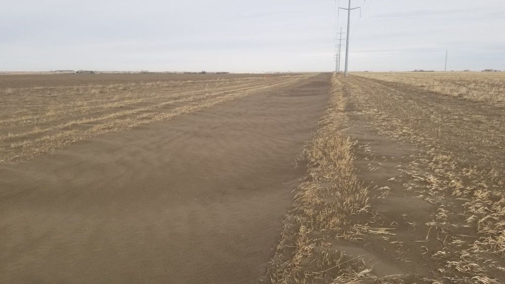 Growing risk of soil erosion for Alberta farmers as drought lingers