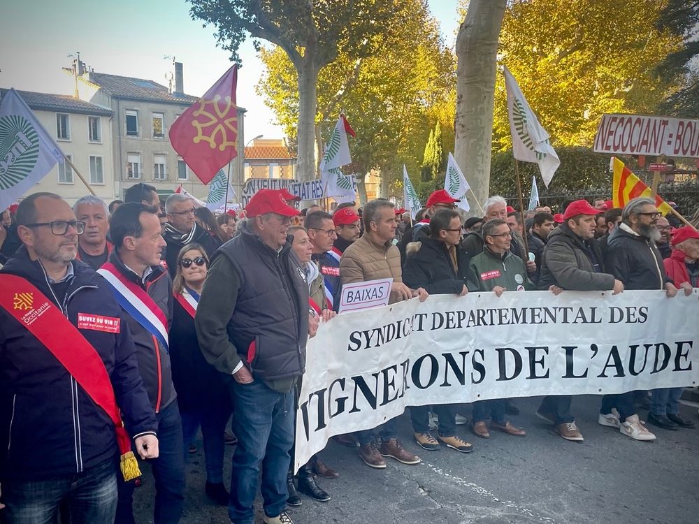 Tête de cortège de la manifestation viticole de Narbonne, aux côtés des représentants de la filière.
