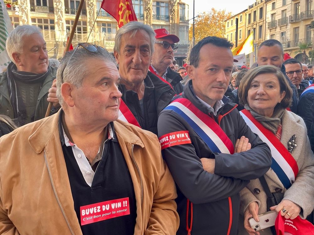 Avec Denis Bouad, Sénateur du Gard, Gisèle Jourda, Sénatrice de l'Aude, et Denis Carretier, Président de la chambre agriculture d'Occitanie, à la manifestation de Narbonne