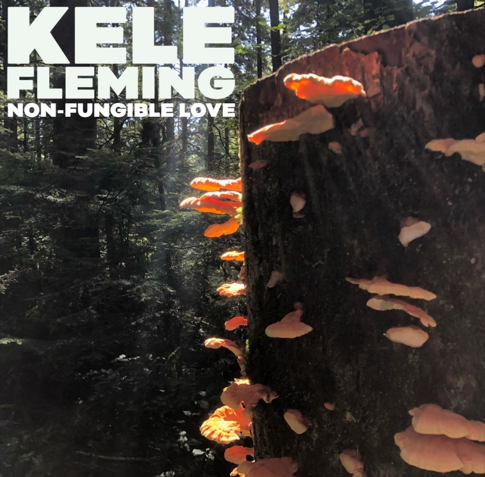 Single cover for Kele Fleming’s new song ‘Non-Fungible Love.’ A photo taken in a forest with green trees in the background and filtered sunlight. In the foreground is a tree stump covered with lite orange fungus. White letter in the upper left corner of the image says - Kele Fleming Non-Fungible Love. 