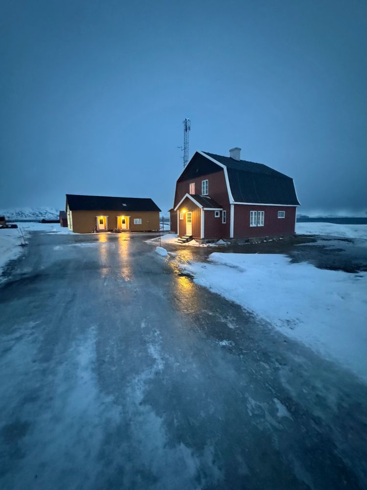 Snowmelt and ice in Ny-Ålesund, February 2025. Credit: James Bradley