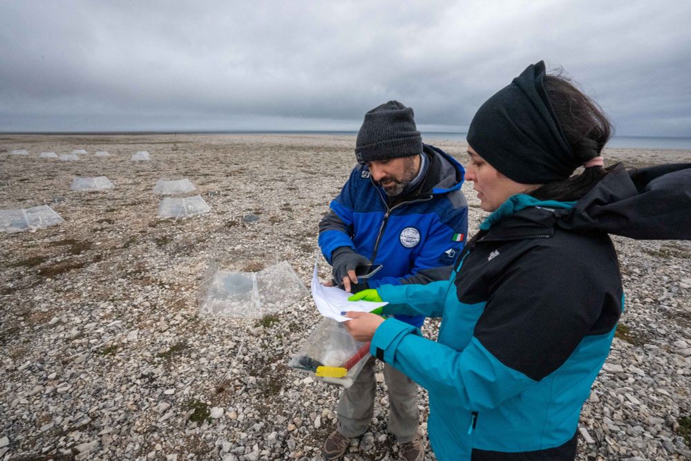 Emanuele Pallozzi & Marcela Hernández at the REMUS soil warming chamber site, Svalbard. Credit: James Bradley