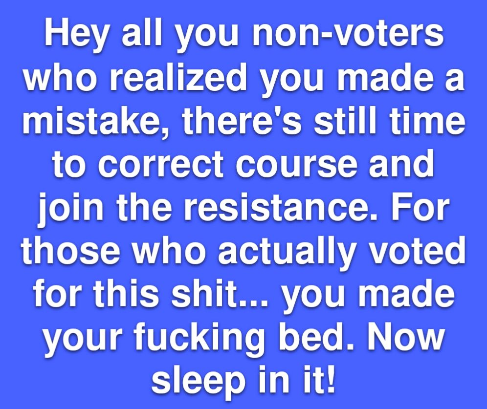 White text on a blue background that reads "Hey all you non-voters who realized you made a mistake, there's still time to correct course and join the resistance. For those who actually voted for this shit... you made your fucking bed. Now sleep in it!