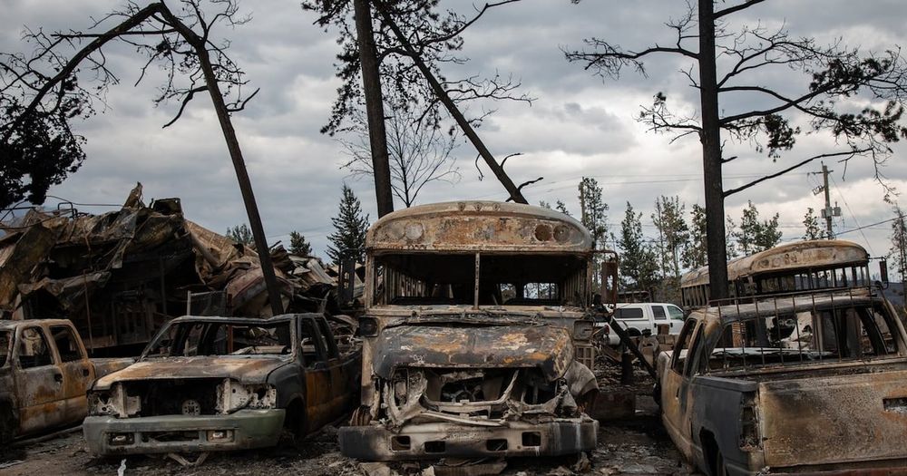 Premier criticizes report that says Alberta hindered efforts to fight Jasper fire