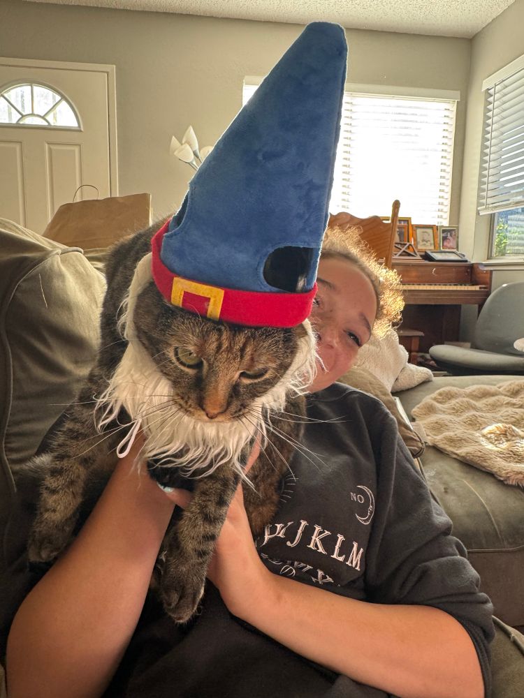 Picture is of a tabby cat being held by a laughing girl. The cat looks angry because she is wearing a gnome hat and beard.
