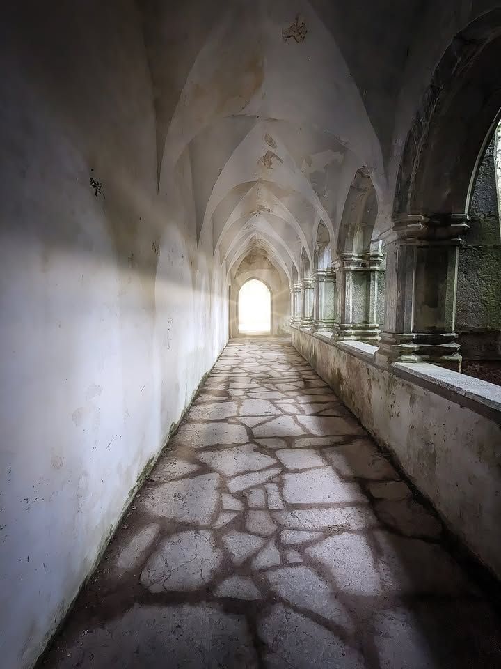 A photo from the interior the cloister of Muckross Abbey in Ireland showing light eminating from a doorway.