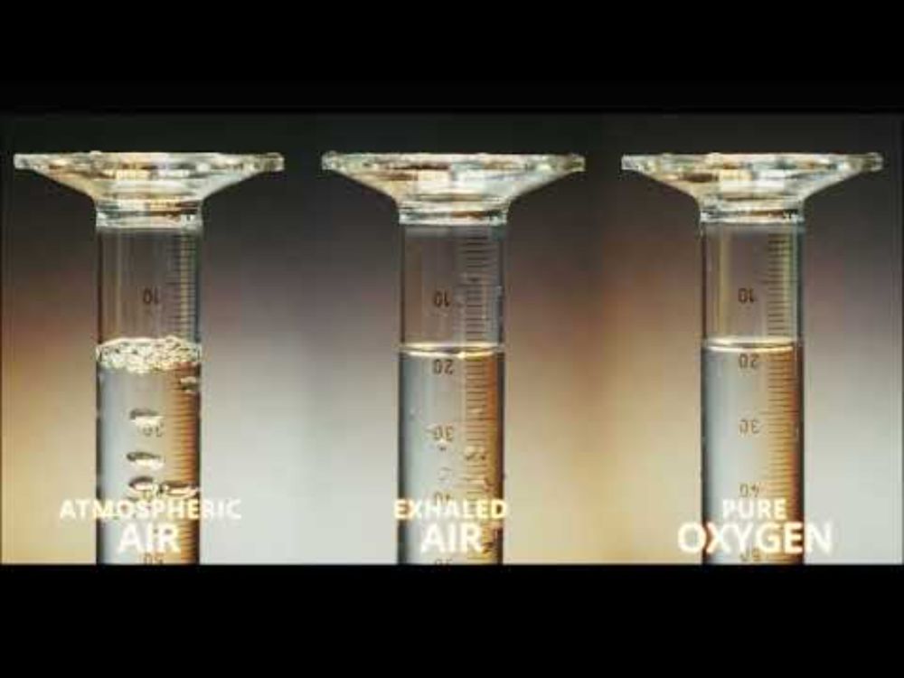 The Eudiometer: Testing the “Goodness” of the Air