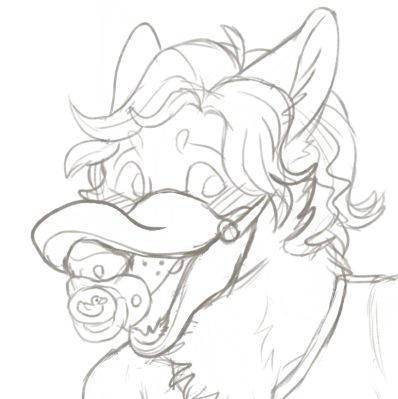 a sketch portrait of an adult anthropomorphic wolf with a cartoony duck bill muzzle strapped around his face. he has a deeply embarrassed expression and a pacifier is stuffed into his maw, a simplistic drawing of a rubber duck printed on the button.  his eyes are averted off to the side and his ears are pulled back.  