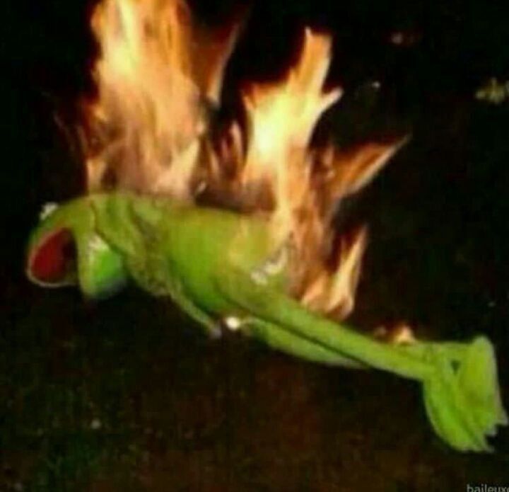 Kermit the frog on fire 