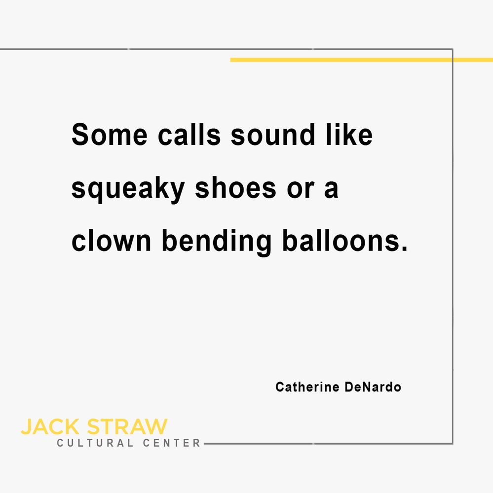 Black text on a white background. Text is an excerpt from #JackStrawWriter Catherine DeNardo. Text is "Some calls sound like squeaky shoes or a clown bending balloons."