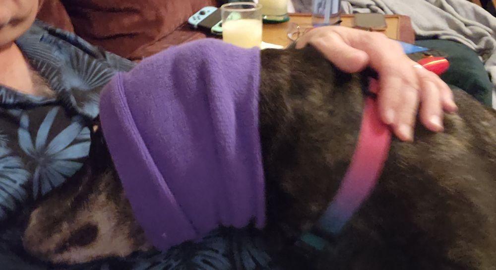 Pittie mix from previous post, snuggled against me for reassurance while fireworks happen in the background