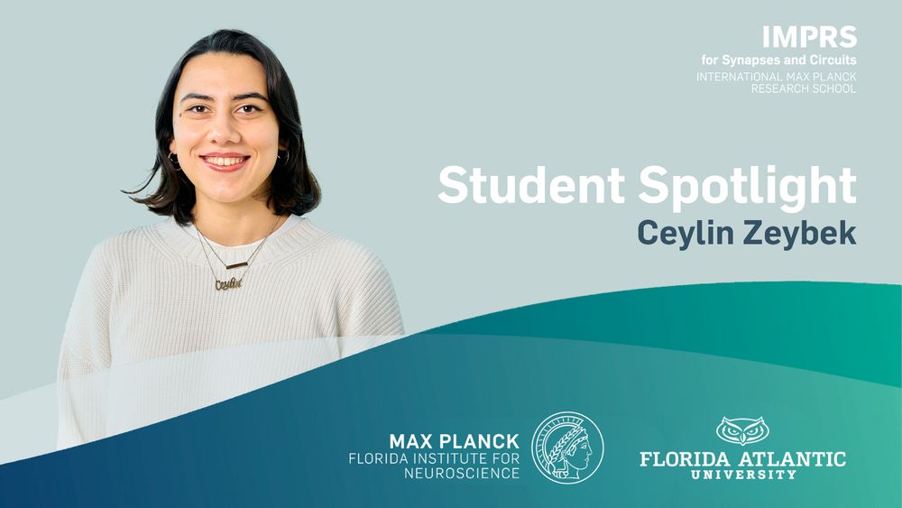 Image of PhD student Ceylin Zeybek