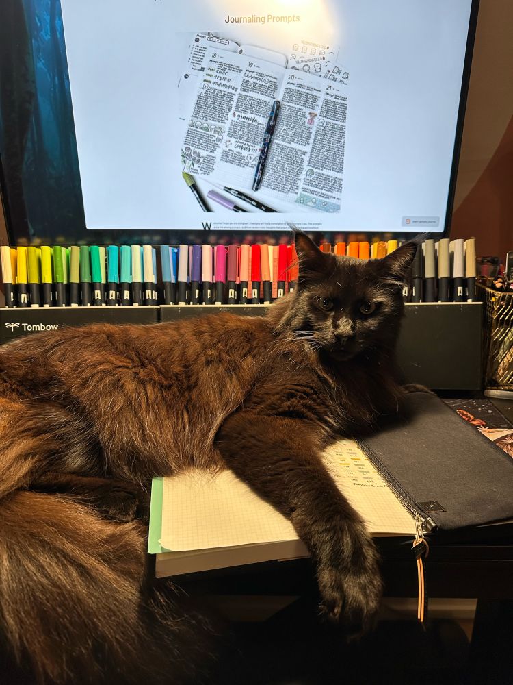 A black cat on a desk