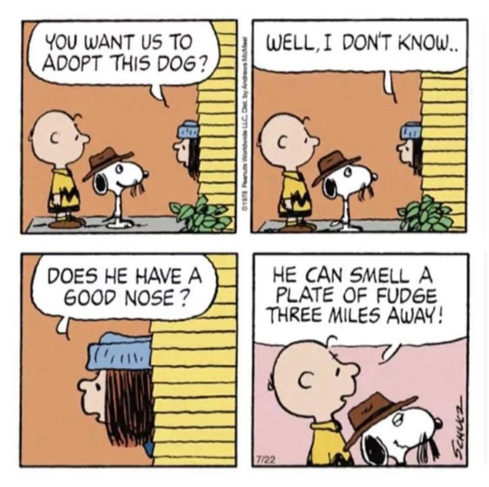 A Peanuts cartoon in which someone asks is Spike has a good nose and Charlie Brown replies that he can smell a plate of fudge three miles away. 