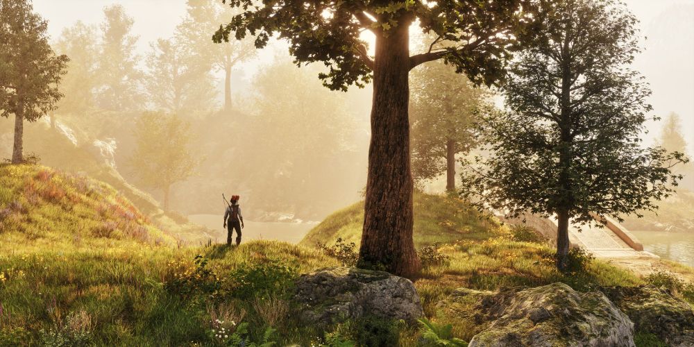 A #virtualphotography screenshot from Oblivion Remastered by Bethesda and Virtuos Games, showing an idyllic woodland scene. It is sunset, and a lone figure wearing a bow on her back stands beside a tall tree looking out towards a lake that seems shrouded in golden mist