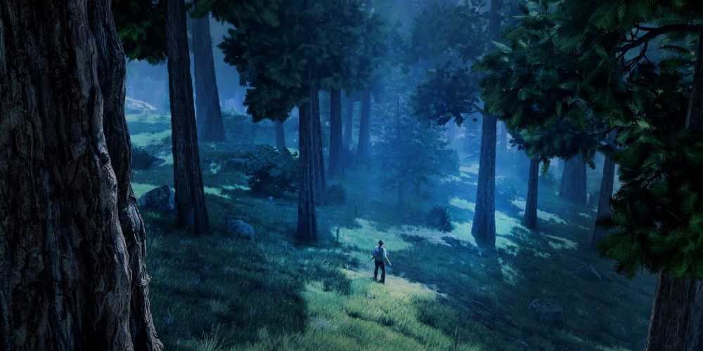A #virtualphotography screenshot from Oblivion Remastered by Bethesda and Virtuos Games showing a forest scene at night. A lone figure is standing illuminated by a shaft of moonlight falling through the trees. It looks like they have a bow in their hand, perhaps they are hunting, or perhaps it's for protection. The overall colour palette is muted blues and greens. It looks peaceful and still.