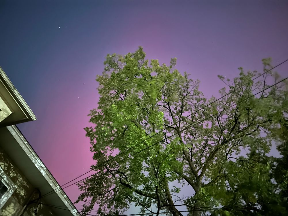 Roof line, dark sky, power lines, tree that looks like a reddish-pink aurora is emanating from it