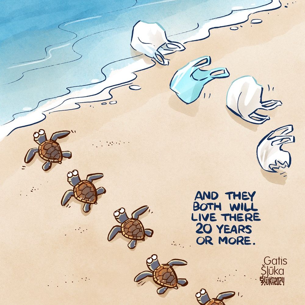 A group of turtles making their way to the sea. Parallel to them, four plastic bags are being blown by the wind to the water as well. The picture was drawn by Gatis Šļūka. 