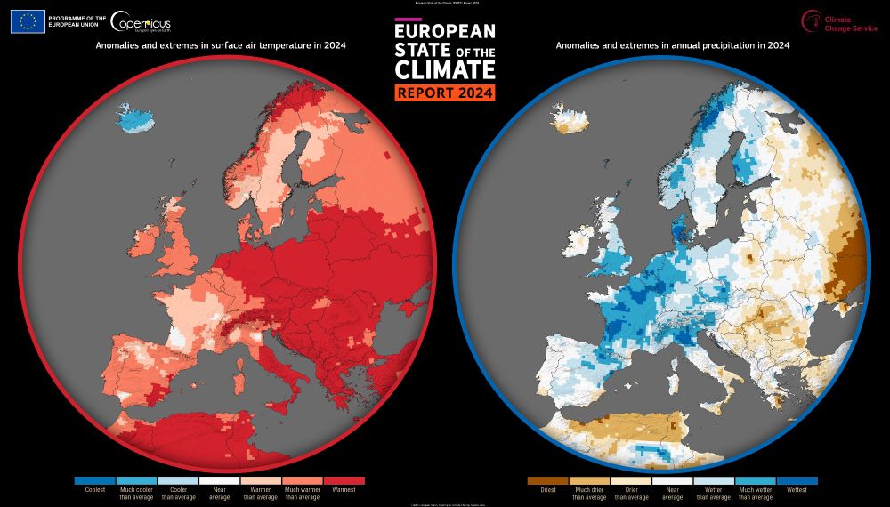 Two circular maps of Europe from the "European State of the Climate Report 2024" by the EU's Copernicus Climate Change Service. The left map shows temperature anomalies and extremes in 2024, with most of Europe shaded in red tones indicating warmer to much warmer than average temperatures. The right map displays precipitation anomalies and extremes in 2024, with much of western and central Europe in shades of blue indicating wetter than average conditions, while eastern regions show brown shades representing drier conditions. Colour scales at the bottom of each map range from "coolest" to "warmest" (left) and "driest" to "wettest" (right). 