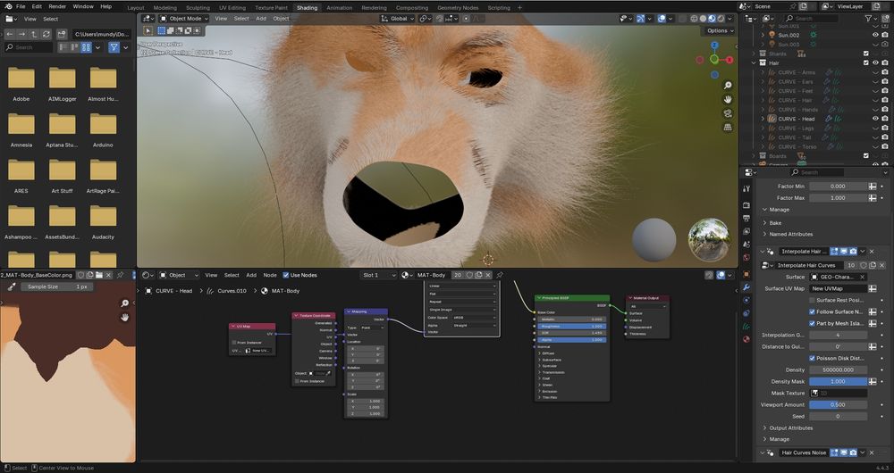 3D Blender fox, fur color error using blender's nurbs curves fur. Interpolate hair curves modifier messes up mapping the texture onto the hairs between the control points.