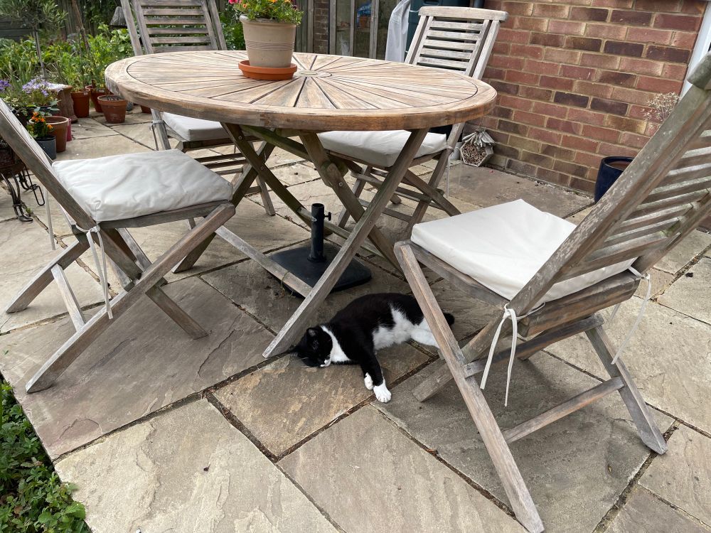 A black and white cat lying in shade under a wooden garden table and chairs on a patio