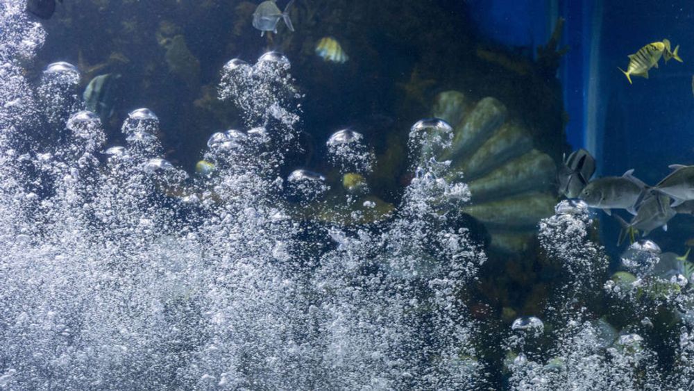 Forscher entdecken „dunklen Sauerstoff“ in tausenden Metern Tiefe – und rätseln über seinen Ursprung