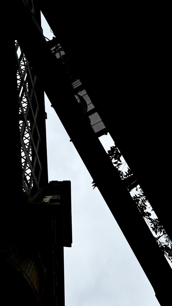 A steel lattice, a grated platform, and bunches of leaves growing over the side of the viaduct are silhouetted against the cold grey sky.