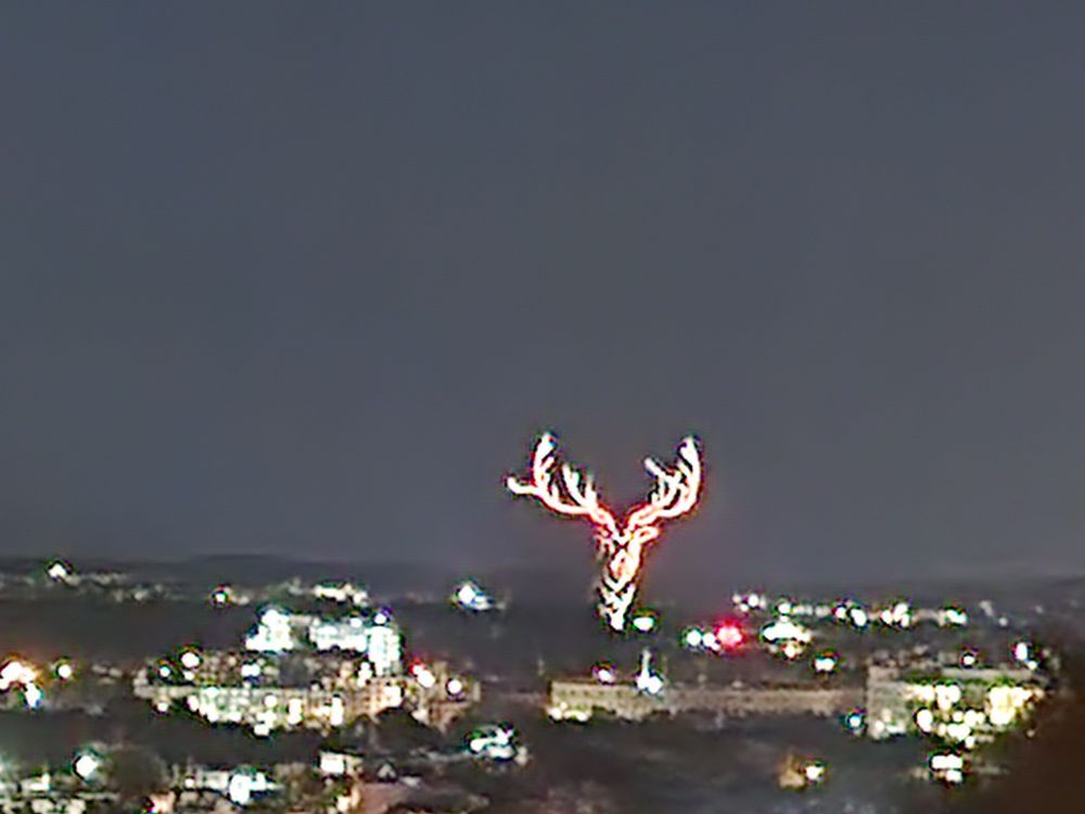 A drone display of a deer with antlers, staring straight towards the camera
