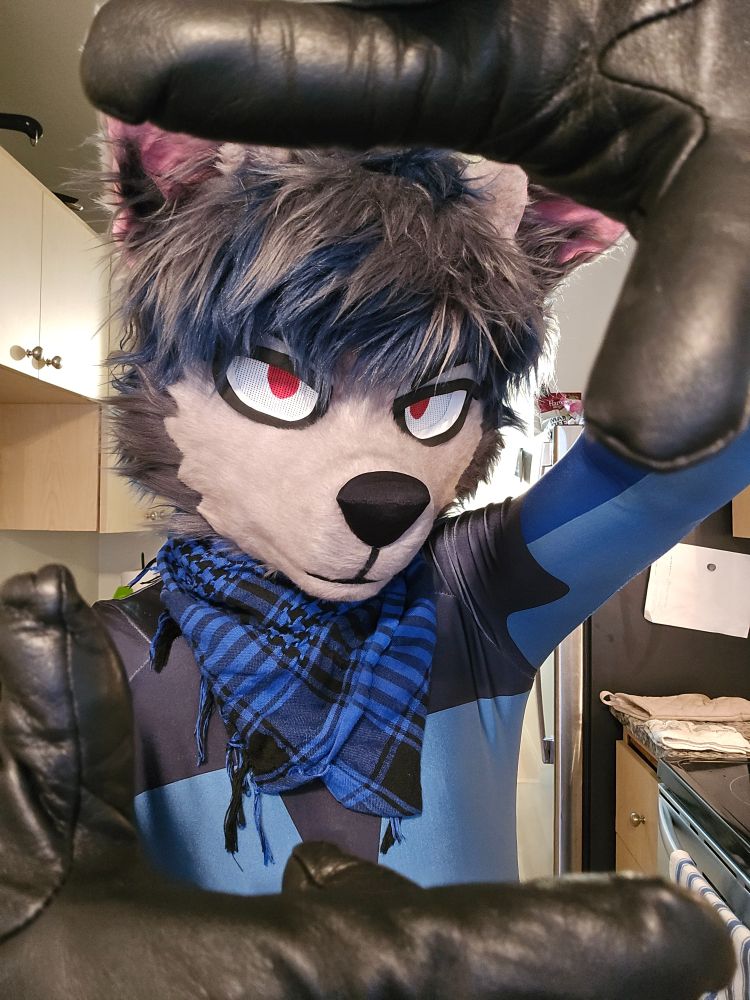 picture of a wolf wearing spandex using paws to create opposing corner borders