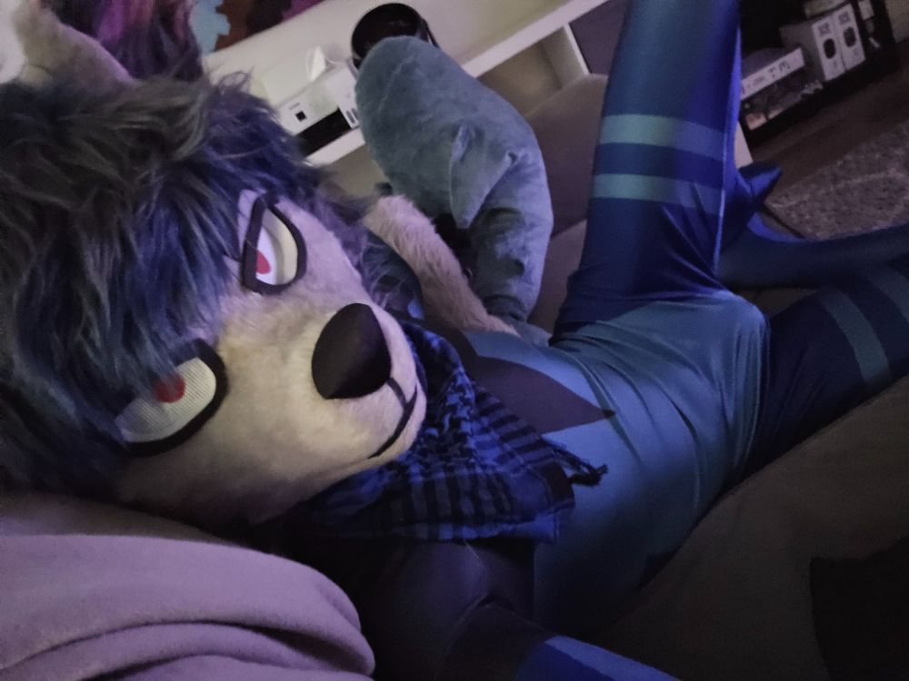 wolf in spandex lounging on a couch 