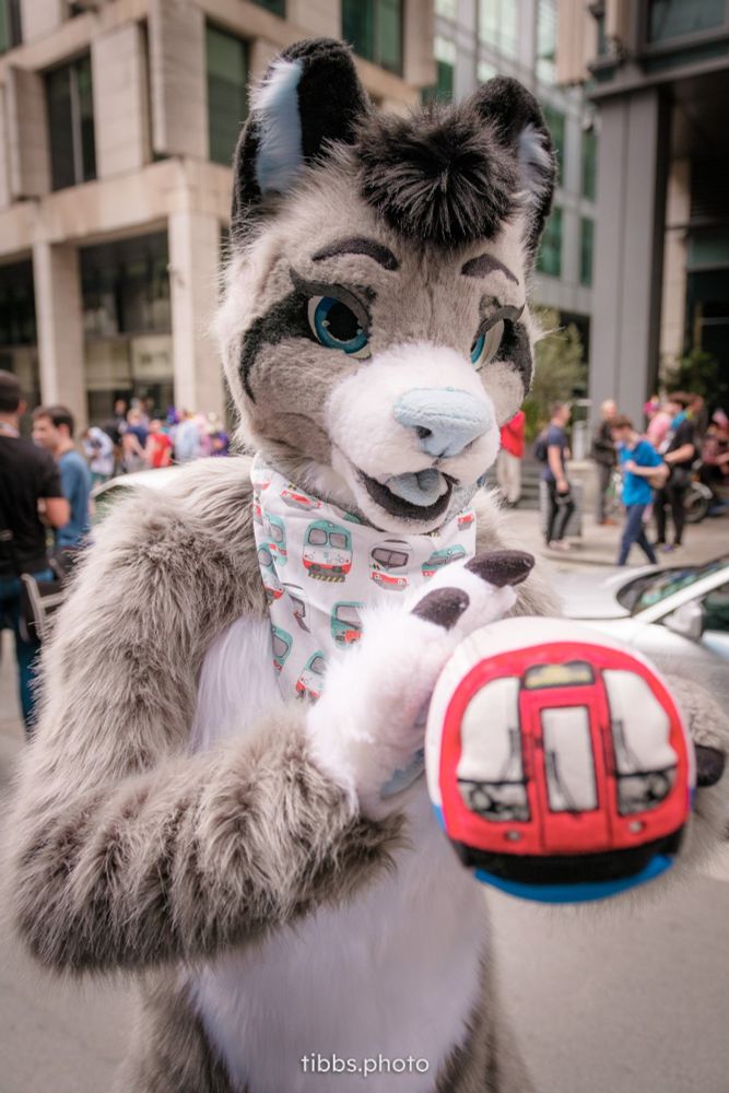 Latimer fursuit (grey white and blue canine) is holding a plush tube train towards the camera. They are wearing a train themed bandana. The street is busy with people socialising behind them
