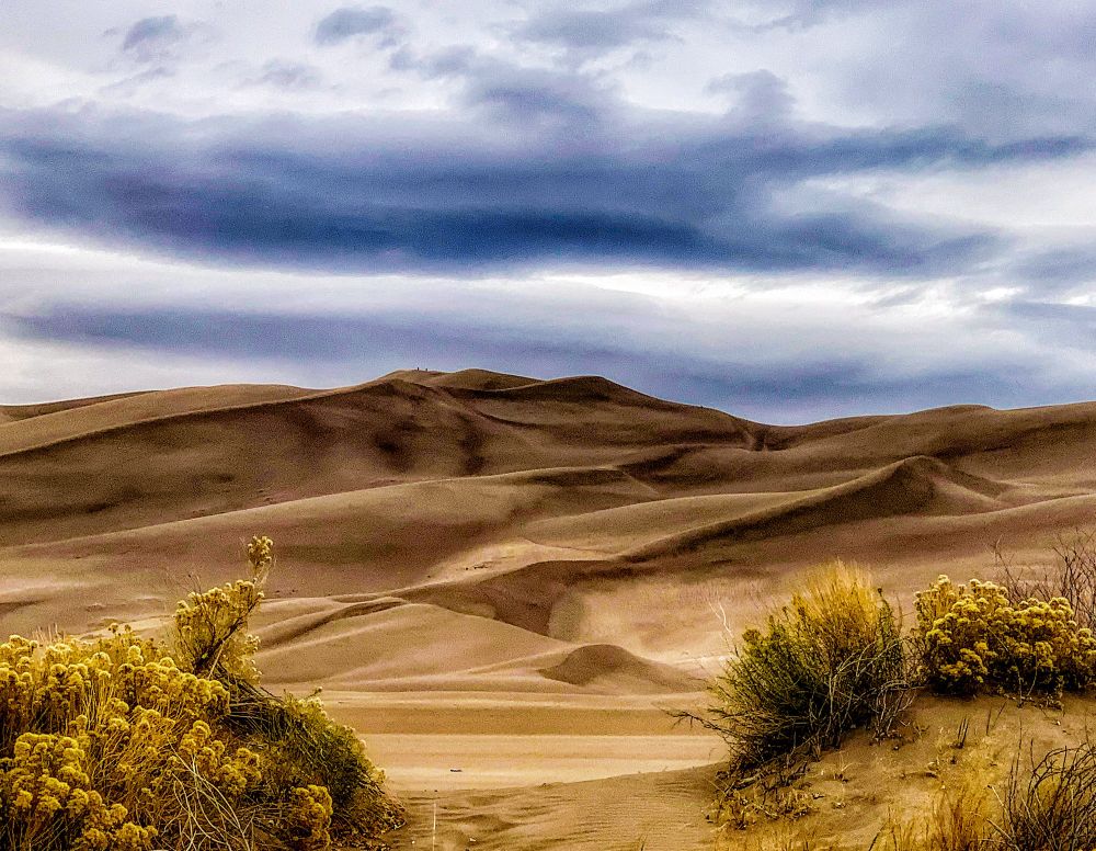 Great Sand Dune National Park 