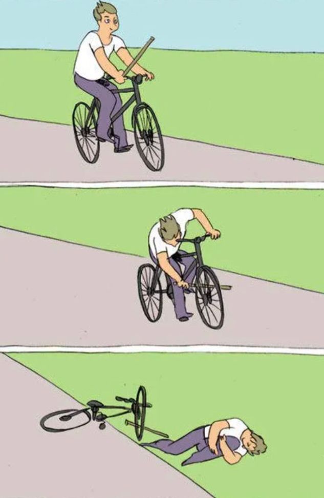 Meme of boy shoving a stick through his own bicycle wheel, and then being upset that he has fallen over as a result 