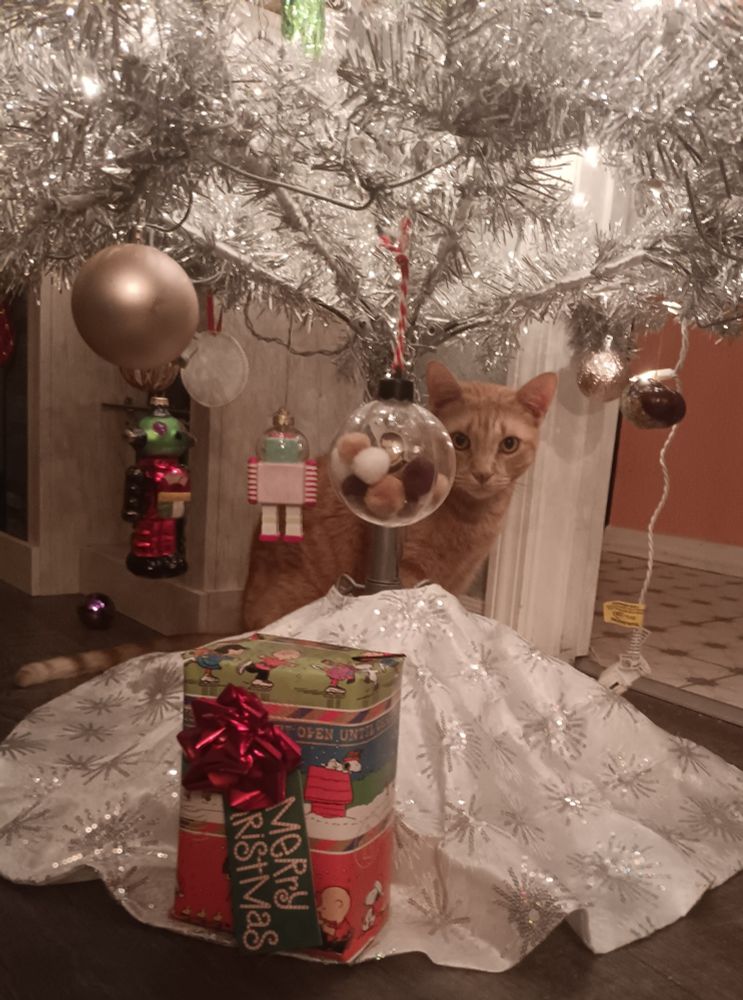 Photo of a wrapped gift under my silver Christmas tree with my orange tabby cat in the background.