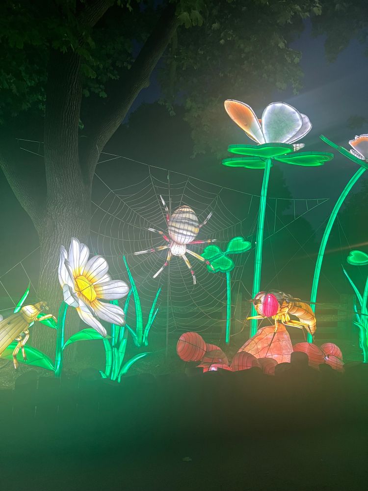 A light up display of a spider on a web surrounded by flowers and a wasp on a rock
