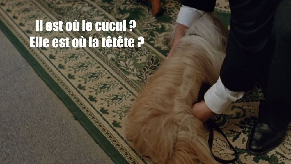 Scène des trois frères, quand il prend le chien dans ses mains en demandant où est la tête et l’arrière train.